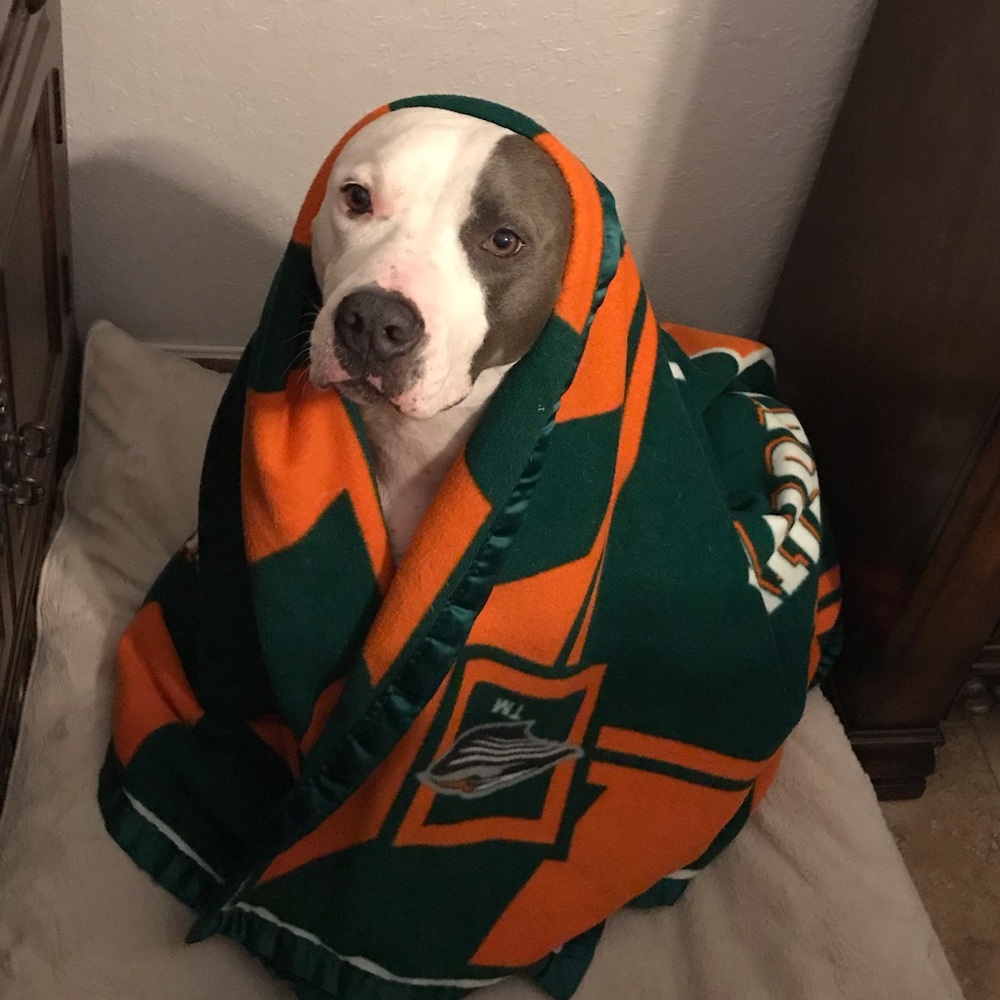 Meet your Posher, Nathalie